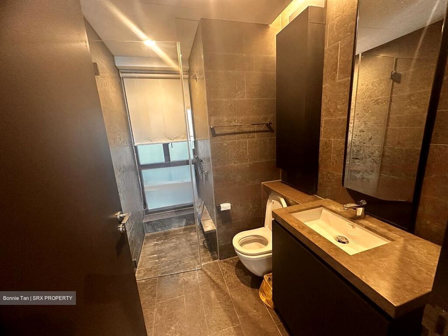 Skysuites@Anson (D2), Apartment #468344941